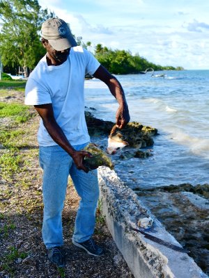 Sydney owner of Sydney Conch Shack, Andros Island, The Bahamas 648 