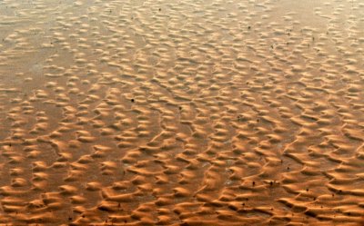 Evening light on Thumamah sand dunes, Riyadh Region, Saudi Arabia 345