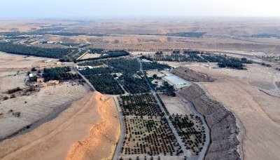 Dates Farm in Waseel Road, North of Ad Diriyah, Riyadh, Saudi Arabia 377