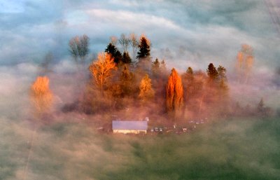 Golden Light on farm in Enumclaw, Washington 434