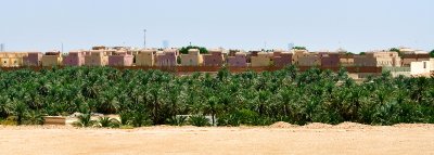 New Housing Neighborhood above Date Farm in Riyadh, Saudi Arabia 146  