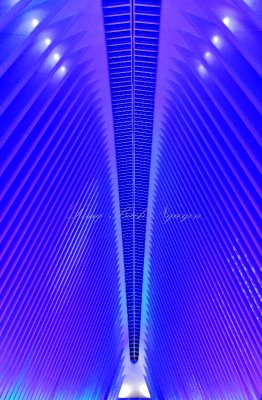 The Oculus in NYC, The World Trade Center Transportation Hub, Lower Manhattan, New York City, New York, USA 945 