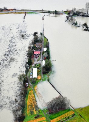 Flooded Field around Game Haven Farm, Carnation, 309 