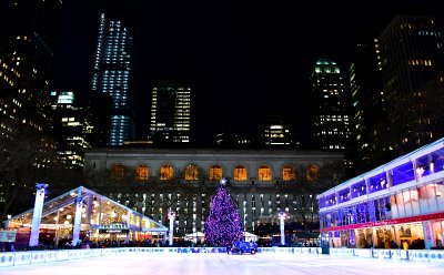 Bryant Park Christmas Tree and Ice Ring, New York Library, New York City, New York 200 .jpg