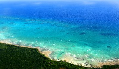 Andros Island, Andros Barrier Reef, The Grand Bahama Bank, The Bahamas 366 