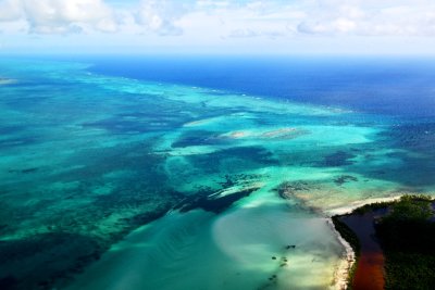 Andros Barrier Reef, Tongue of the Ocean, Andros Island, The Bahamas 385 