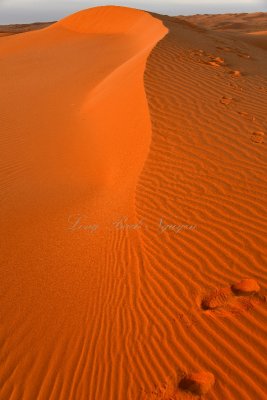 Sunrise on sand dune in Al Ghat Desert, Saudi Arabia 275 