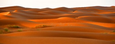 Golden Light at Sunrise on Saudi Desert, Al Ghat, Saudi Arabia 284