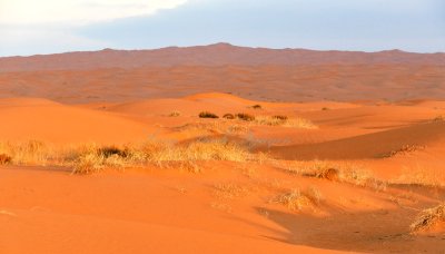 Saudi Desert at Sunsrise by Al Ghat, Saudi Arabia 269