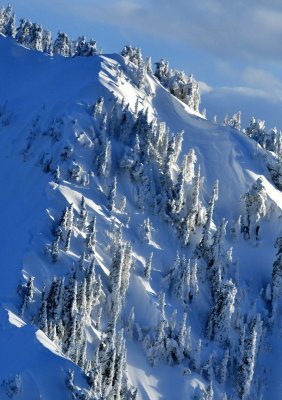 January 2020 Snow on Gunn Peak, Cascade Mountains, Washington 170