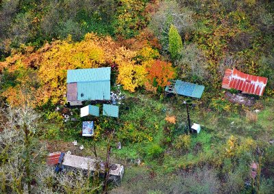 Abandoned in wood, Washington 336