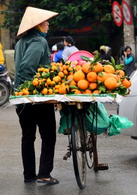 Selling Oranges from Rusty Bike, Hanoi Old Quarter, Vietnam 089 