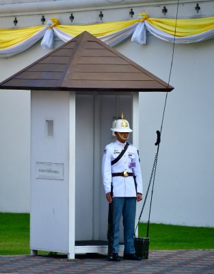 Thailand Royal Palace Guard, Bangkok, Thailand 718