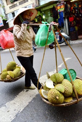 Durian Street Vendor in Hanoi Old Quarter, Vietnam 462 