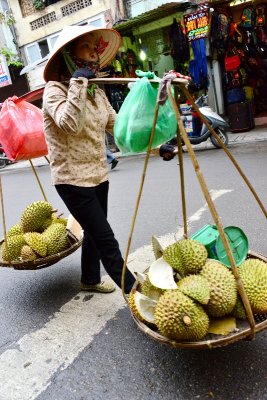 Durian Street Vendor in Hanoi Old Quarter, Vietnam 462