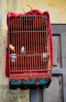 Bird Cage in Hanoi Old Quarter, Vietnam 496 