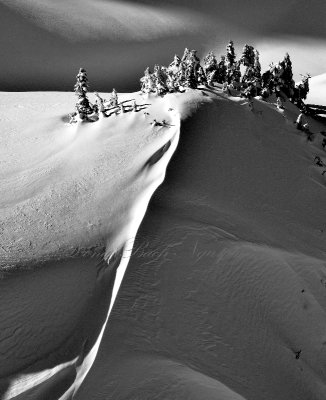 Follow the Leader across the Ridge, Snoqualmie Mountain, Cascade Mountains, Washington 778 