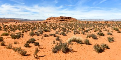 Landscape by Horseshoe Bend, Page Arizona 072  