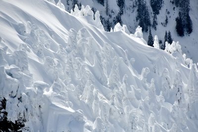 Snow People on Big Bear Mountain, Cascade Mountains, Washington 638  