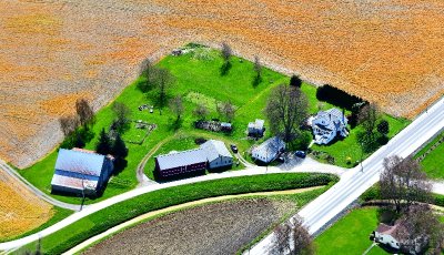 Large farm in Skagit Valley by La Conner, Washington 231  