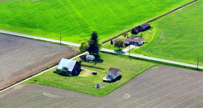 Skagit Valley Farms near Mt Vernon, Washington 484  