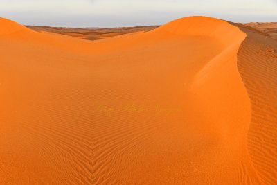 Sunrise on sand dune in Al Ghat Desert, Saudi Arabia 279a  