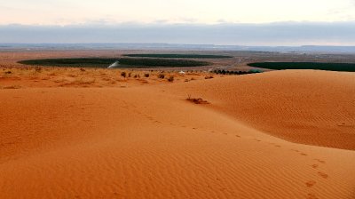 Early morning in Saudi Desert, Al Ghat Saudi Arabia 109  