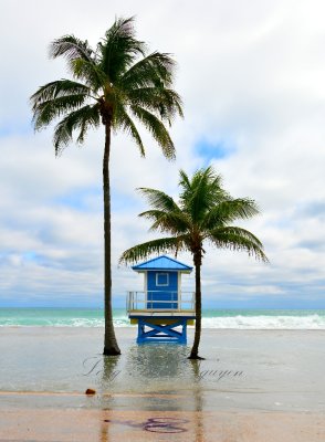 Lifeguard Station in Hollywood Florida 449  