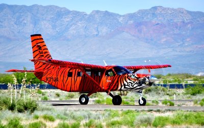 Bad Kitty Kodiak Jump Plane with El Paso Skydiving, Dona Ana airport, New Mexico 312  