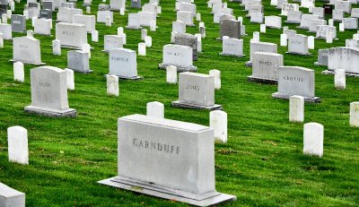 Arlington National Cemetery, United States Military Cemetery,  Arlington, Virginia 445  