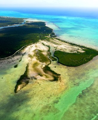 North Bight, Behring Point Settlement, Andros Barrier Reef, Tongue of the Ocean, Androis Island, The Bahamas 407 