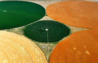 Crop Circles in George, Washington 715  