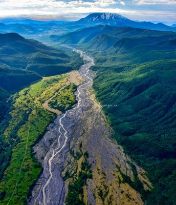 Bear Creek, North Fork Toutle River, Mount St Helens National Volcanic Monument, Washington 037B  
