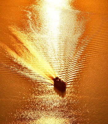 Washington State Ferry on Golden Water of Puget Sound at Sunset, Washington 701  