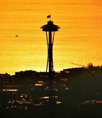 Space Needle at golden hour of Sunset in Seattle, Washington 032  