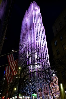 Rockefeller Plaza on W 49th St, Manhattan, New York City, New York, USA 473 