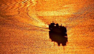 Golden Sunset on Washington State Ferry, Puget Sound, Seattle, Washington 384 