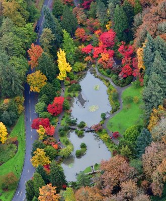 Fall Foliage Seattle Japanese Garden in Washington Park Arboretum, Seattle, Washington 422