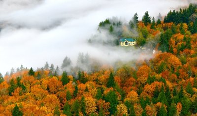 Yellow house in colorful forest, Duvall, Washington 050a