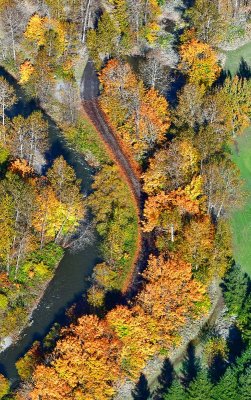 Raging River and Dike Road at Twin Rivers Golf Course, Fall City, Washington 038