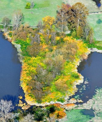 Fall Foliage in the Snoqualmie River Valley, Duvall, Washington 287