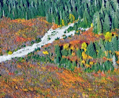 Fall Colors at the base of Big Four Mountain, Washington 585