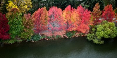 Flash of Colors on Green Lake Trail, Green Lake, Seattle, Washington 055