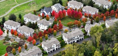 Autumn Colors in south seattle