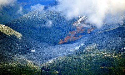 Fresh Snow on Fall Colors in Cascade Mountains, Washingto 403