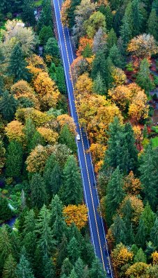 Fall Colors on NE Woodinville Duvall Road, Duvall, Washington 180