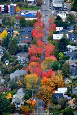 E Cherry St and MLK Way, Seattle, Washington 062