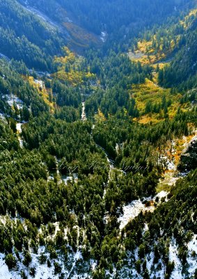 Fall Colors in Troublesome Creek Valley, Columbia Peak, Troublesome Mountain, Washington 512