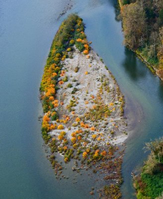 Fall Colors on Sandbar in the Skykomish River, Monroe, Washington 156