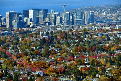 Fall Foliage around Central District and Capitol Hill Neighborhoods, Downtown Seattle, Space Needle, Washington 009